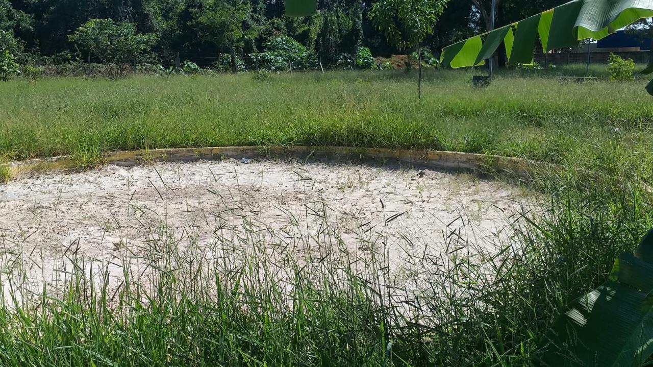 Foto 5 de 21 — Mato toma conta de praça no Maria Luiza; Prefeitura não tem prazo para zeladoria no bairro